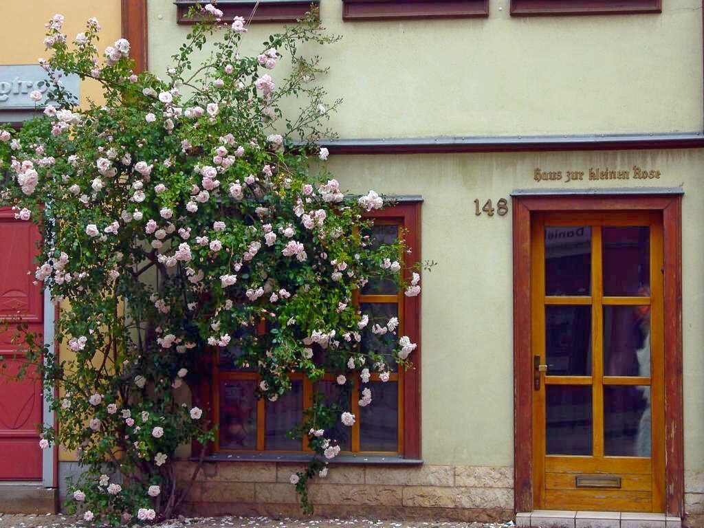 Haus 'Kleine Rose' (eigenes Bild)