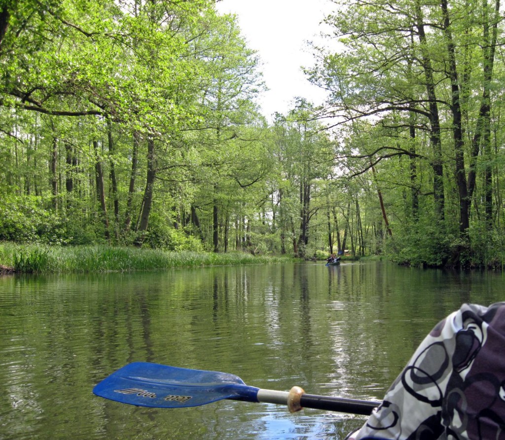 Paddeln im Spreewald (eigenes Bild)