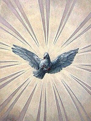 Der Hl. Geist in Gestalt einer Taube, Fresko in der Karlskirche in Wien (Johann Michael Rottmayr) Bild: Wikimedia Commons, Manfreeed)