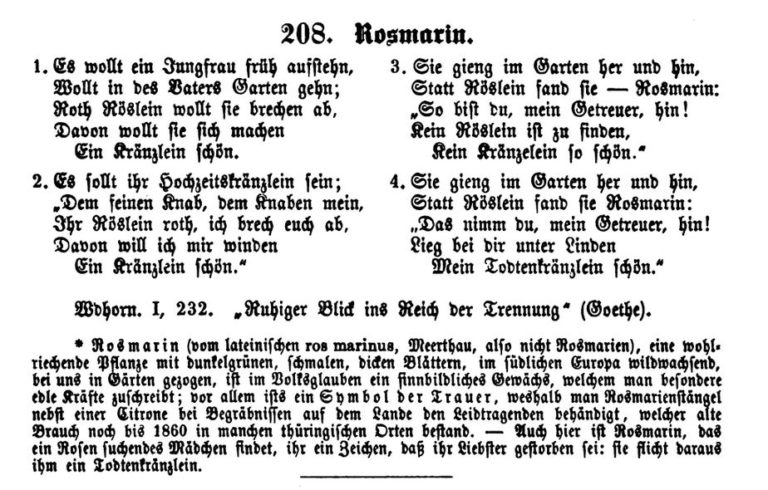 Das Leben Sollte Mit Dem Tod Beginnen Text
